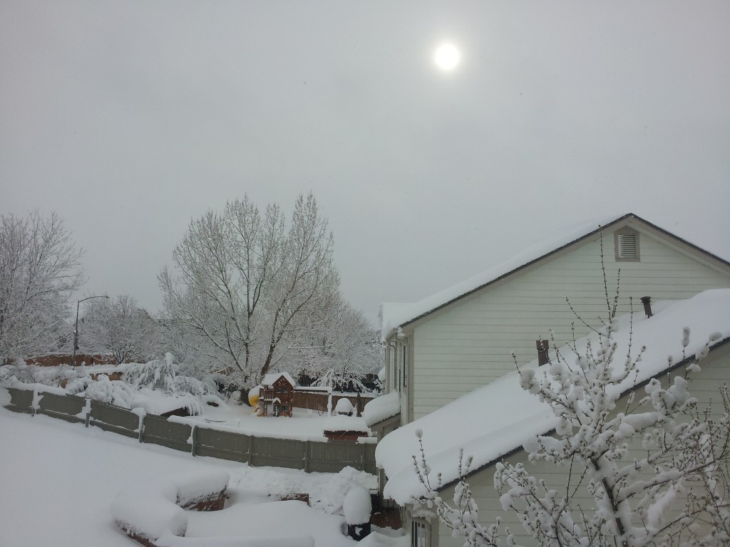 snow-03-23-16_sun